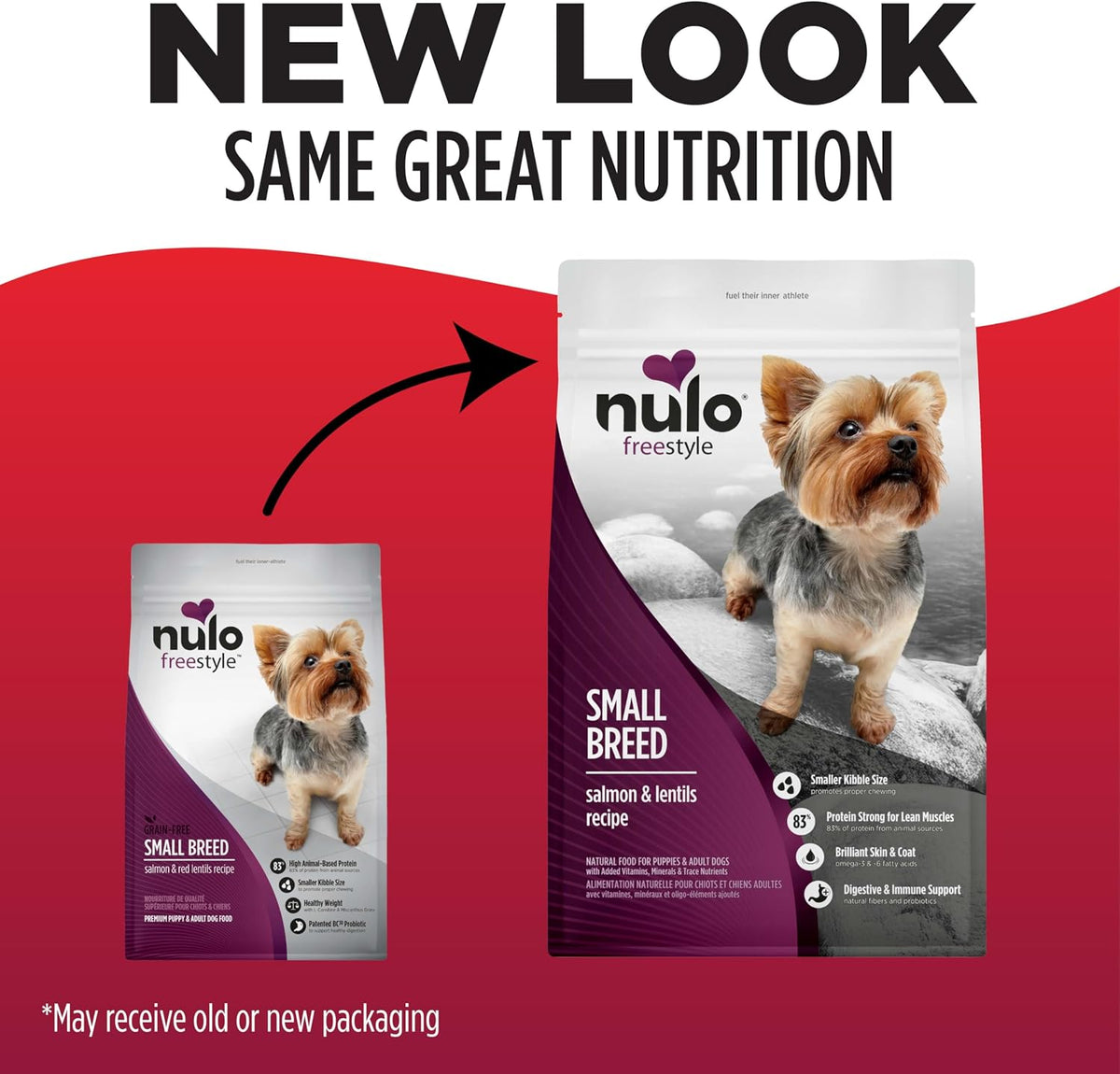 FreeStyle Small Breed Dog Food Dry - Salmon & Lentils, Puppy & Adult Grain Free Dog Food, Natural, High Protein