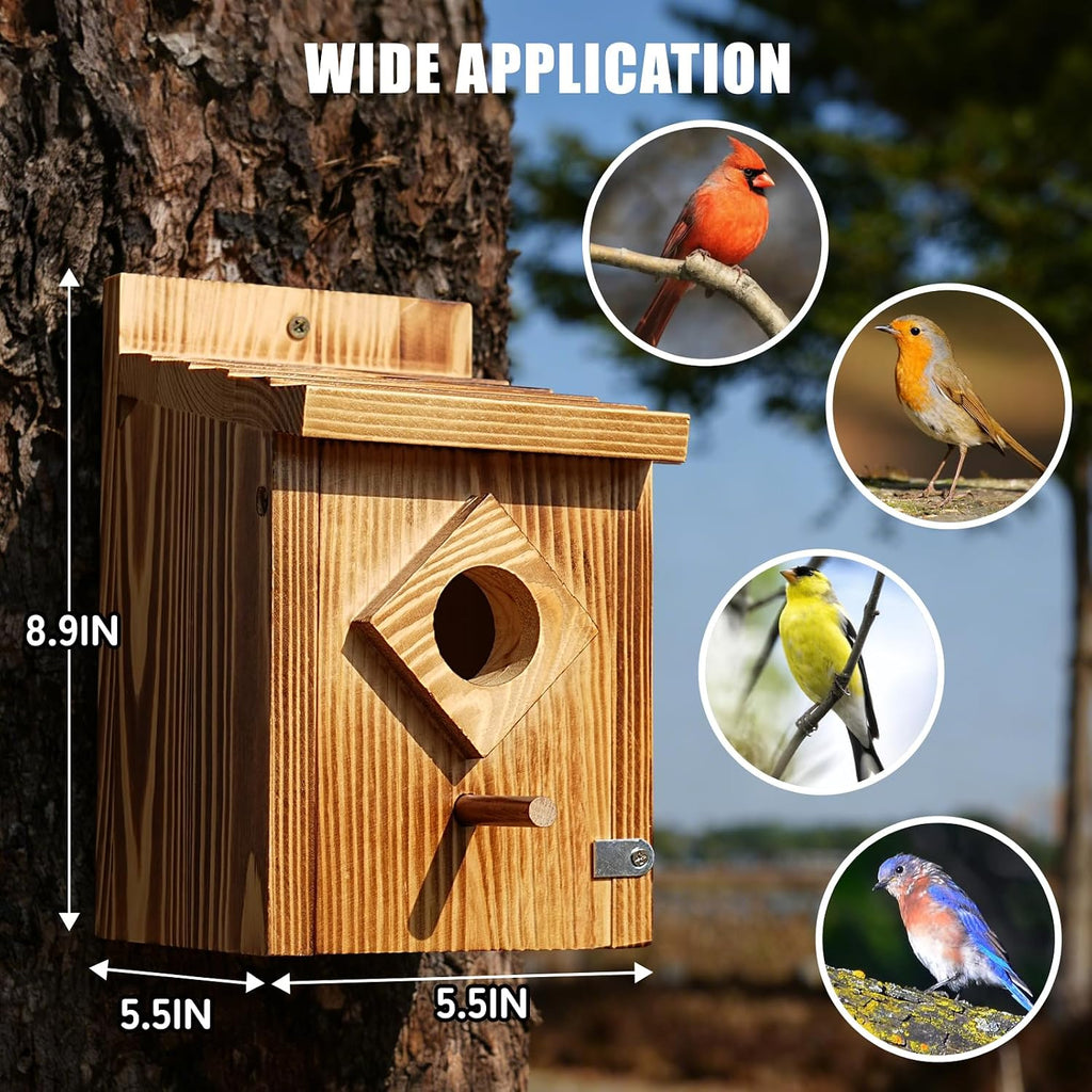 Waterproof Wooden Blue Bird House, Weather-Treated Bird Box for Outdoors