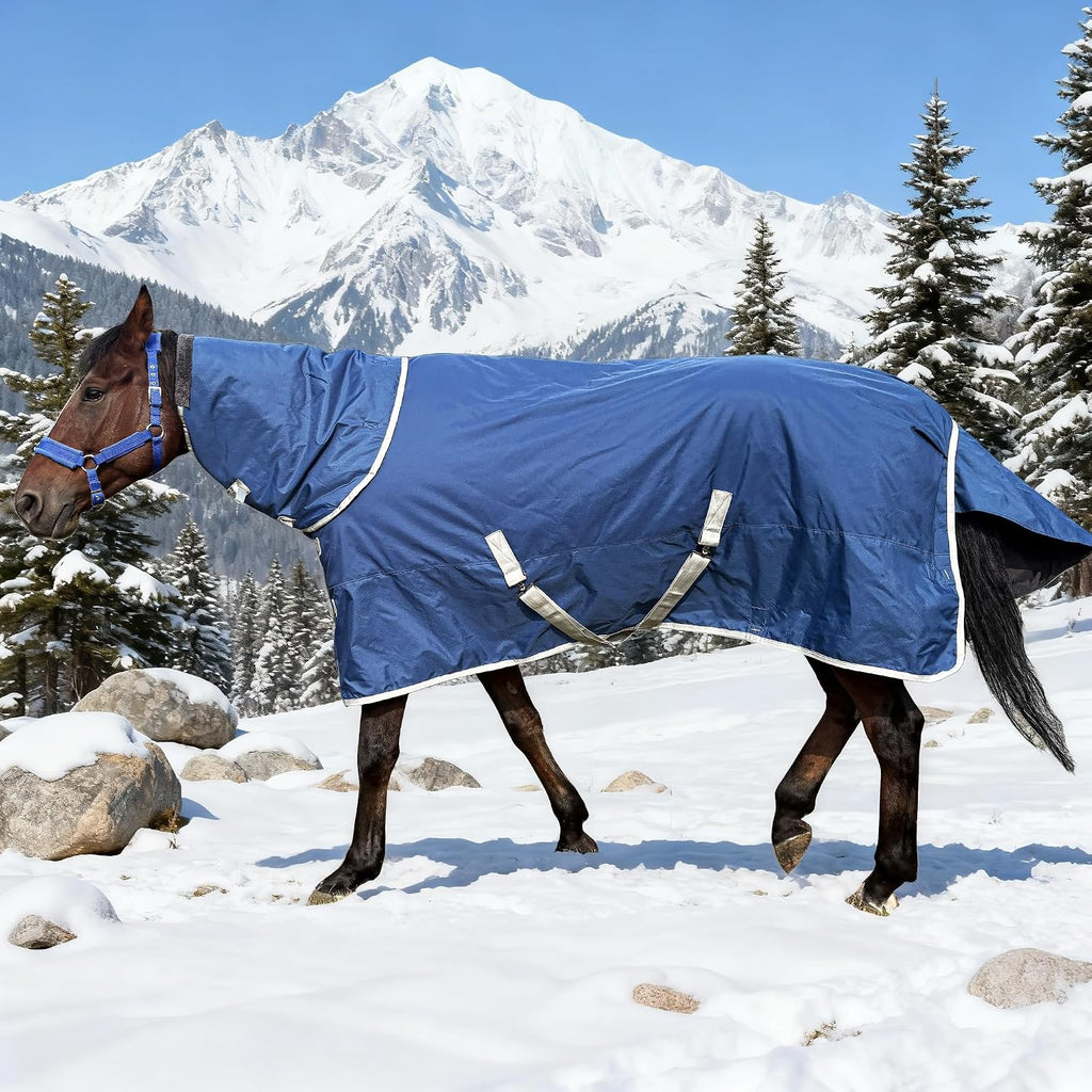 Winter 1200D Premium Turnout Horse Blanket,Medium Weight Waterproof Blanket (Back Length 81 inches (155cm) with Cover)