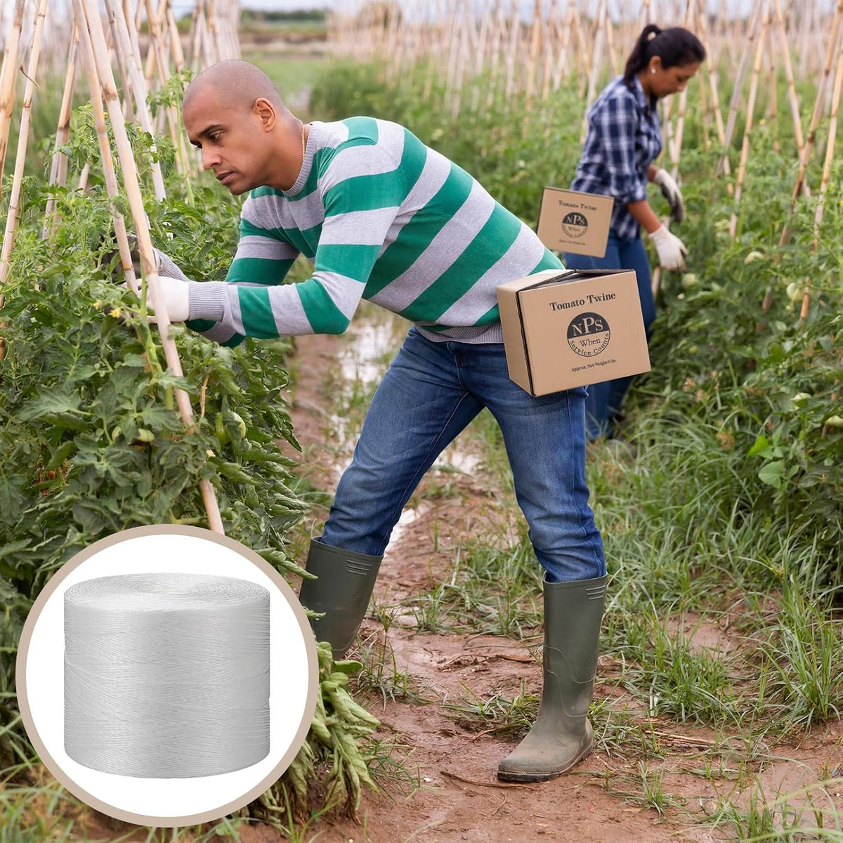 6150ft Tomato Garden Twine, White Polypropylene with Storage, Box