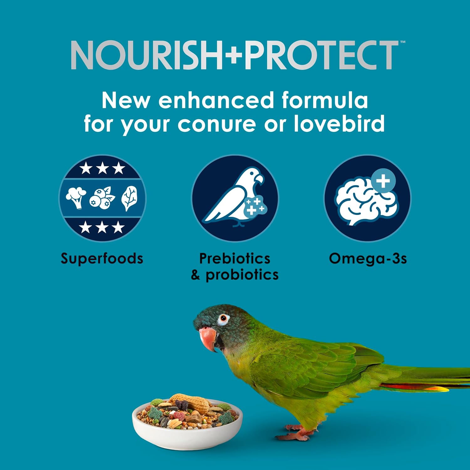 Forti-Diet Pro Health Nourish+Protect Conure & Lovebird Food, 4 lb | Balanced digestion. Conure food with prebiotics