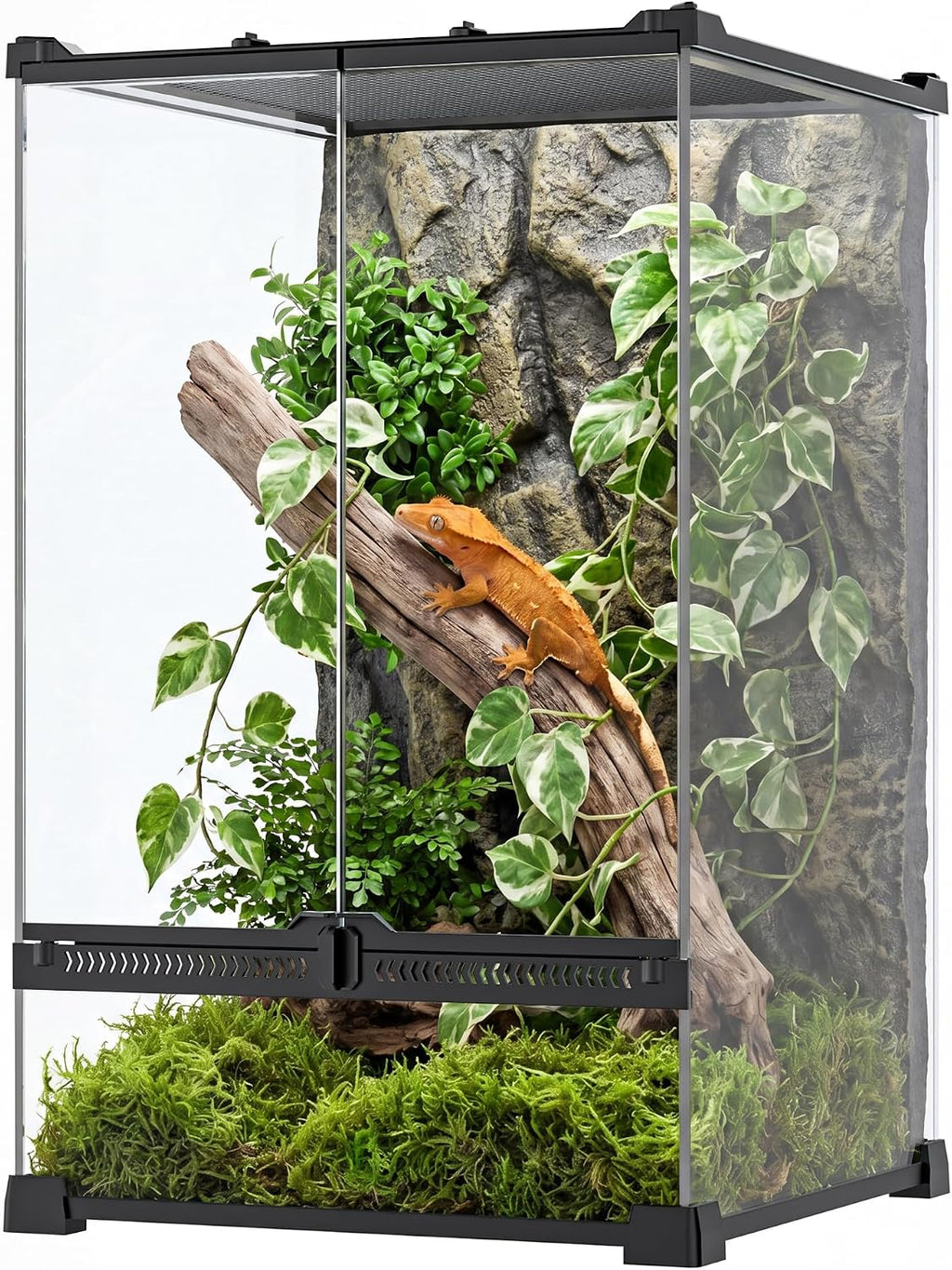 11 Gallon Fully Assembled Glass Reptile Enclosure,12"x 12" x 18" | Front Opening Tall Reptile Terrarium Tank for