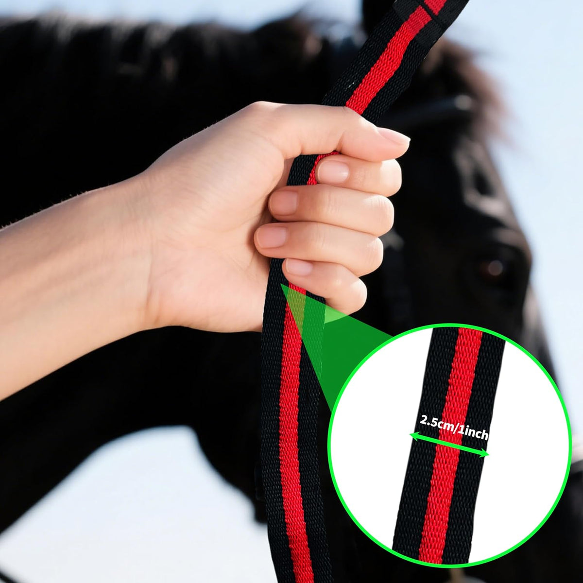 Lunge Line for Horse, Premium Equine Lunge Line with Swivel Bolt Snap for Accurate Equestrian Training, Competition
