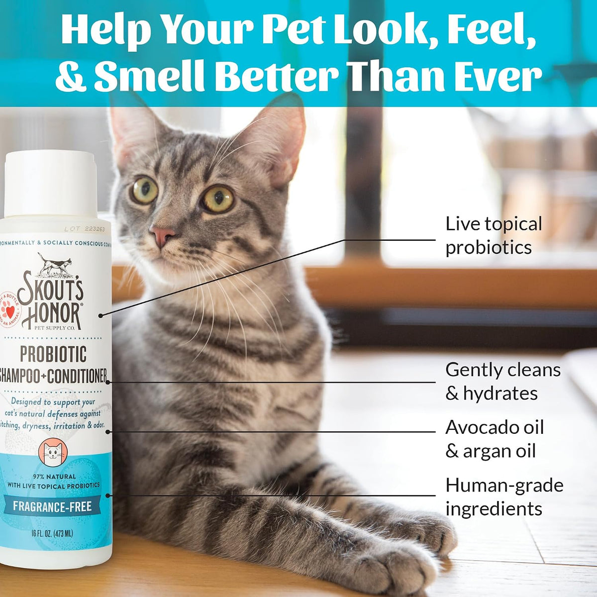 Probiotic Cat Shampoo and Conditioner, 16 oz