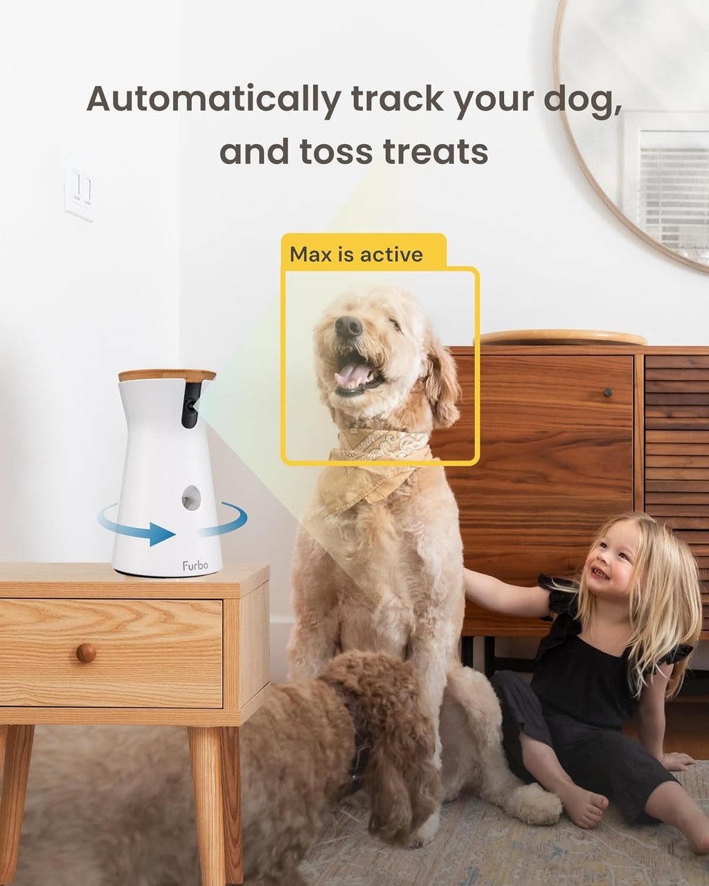 360° Dog Camera [Core Features, No Ongoing Cost]