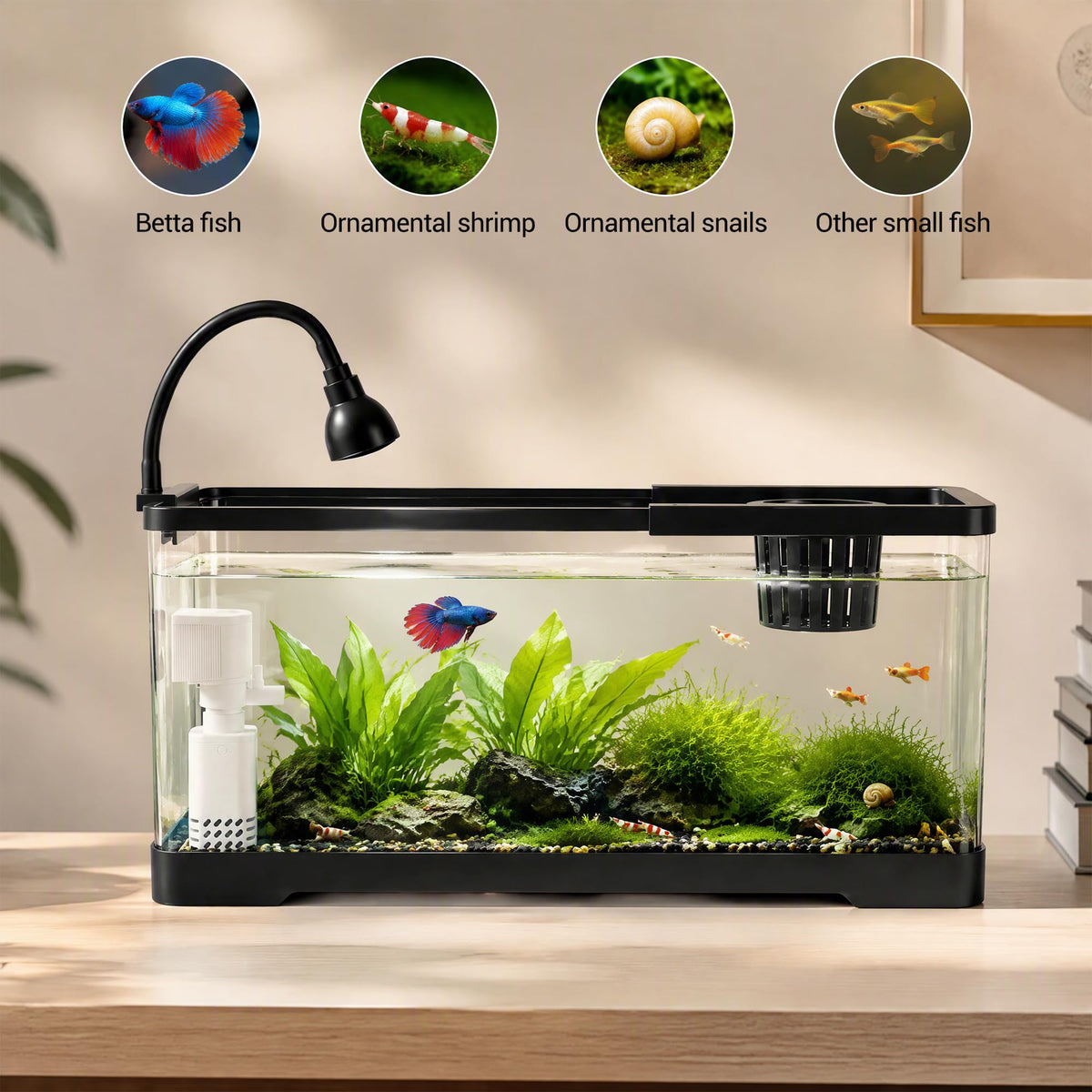 6 Gallon Hydroponic Fish Tank,Small Desktop Aquarium Kit