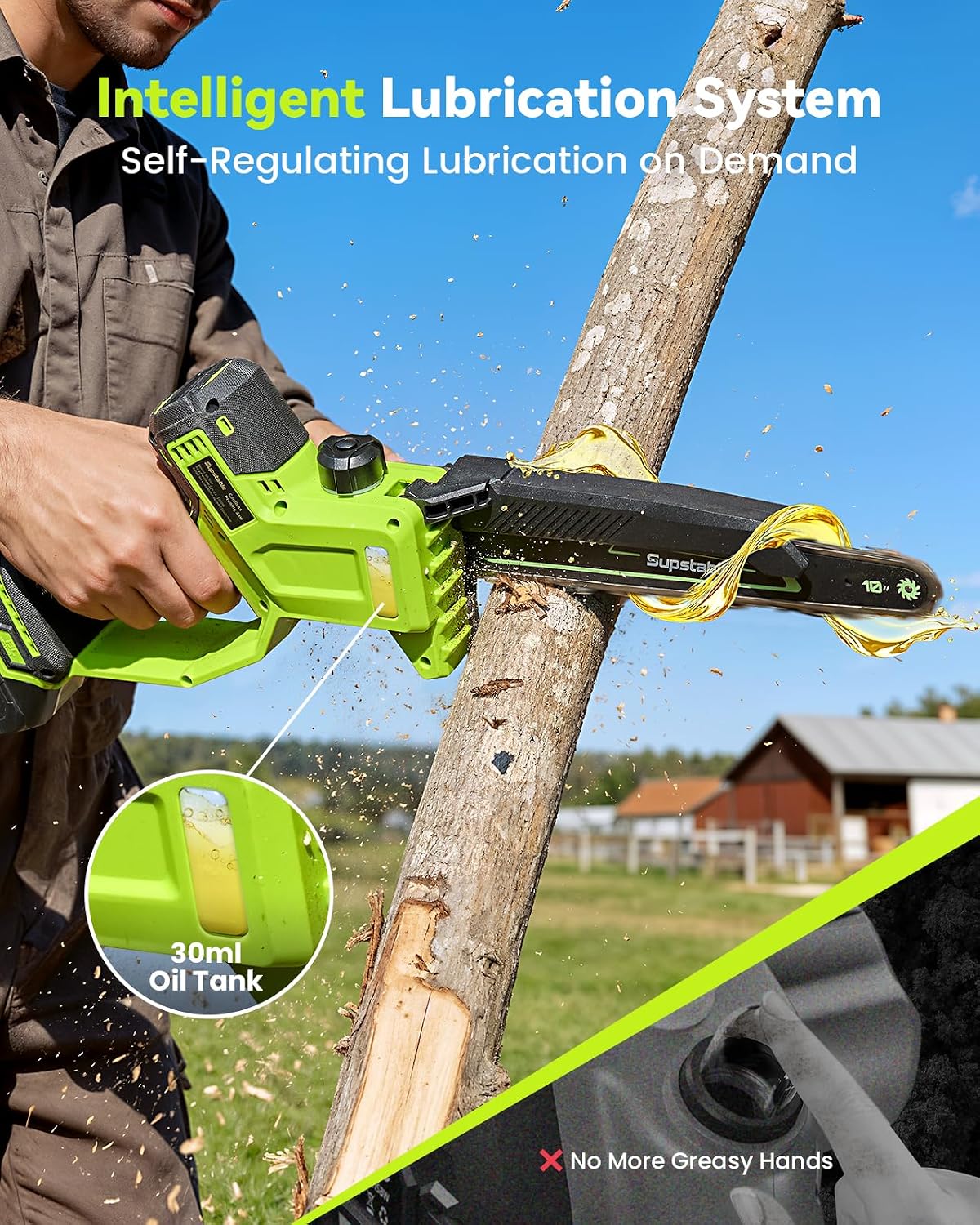10 Inch Electric Pole Saws for Tree Trimming, 1000W Brushless Pole Saw and Mini Chainsaw 2 in 1, 2*4000mAh Battery