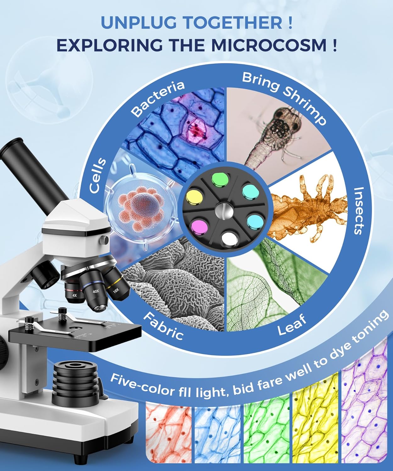 Compound Microscope for Adults & Students, White | 100X-2000X High-Power, Biological Microscope, School Lab & Home