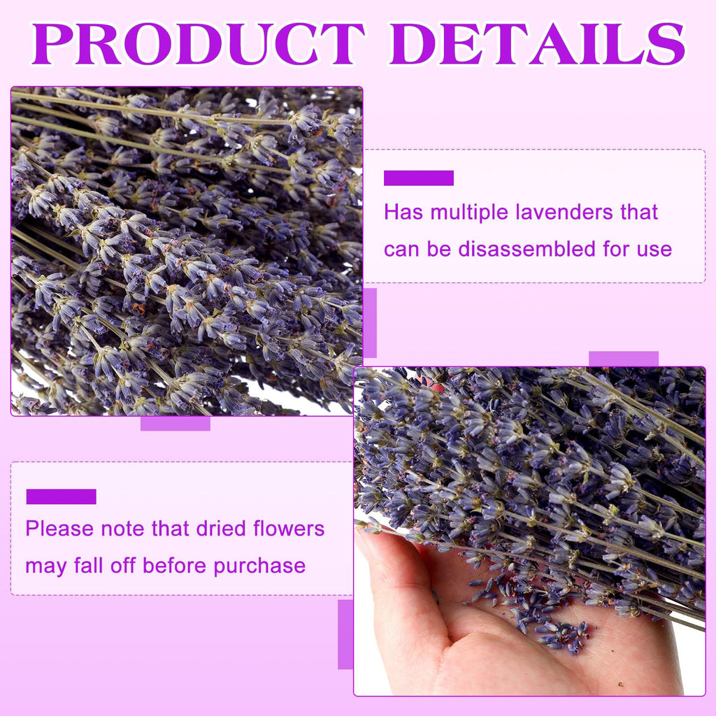 12 Pack Total 2280 Stems Dried Lavender Bundle Bulk