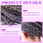 12 Pack Total 2280 Stems Dried Lavender Bundle Bulk