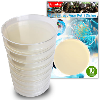 Malt Extract Agar Plates - Evviva Sciences - Great for Mushrooms, Molds, Fungus - 10 Prepoured MEA Petri Dishes