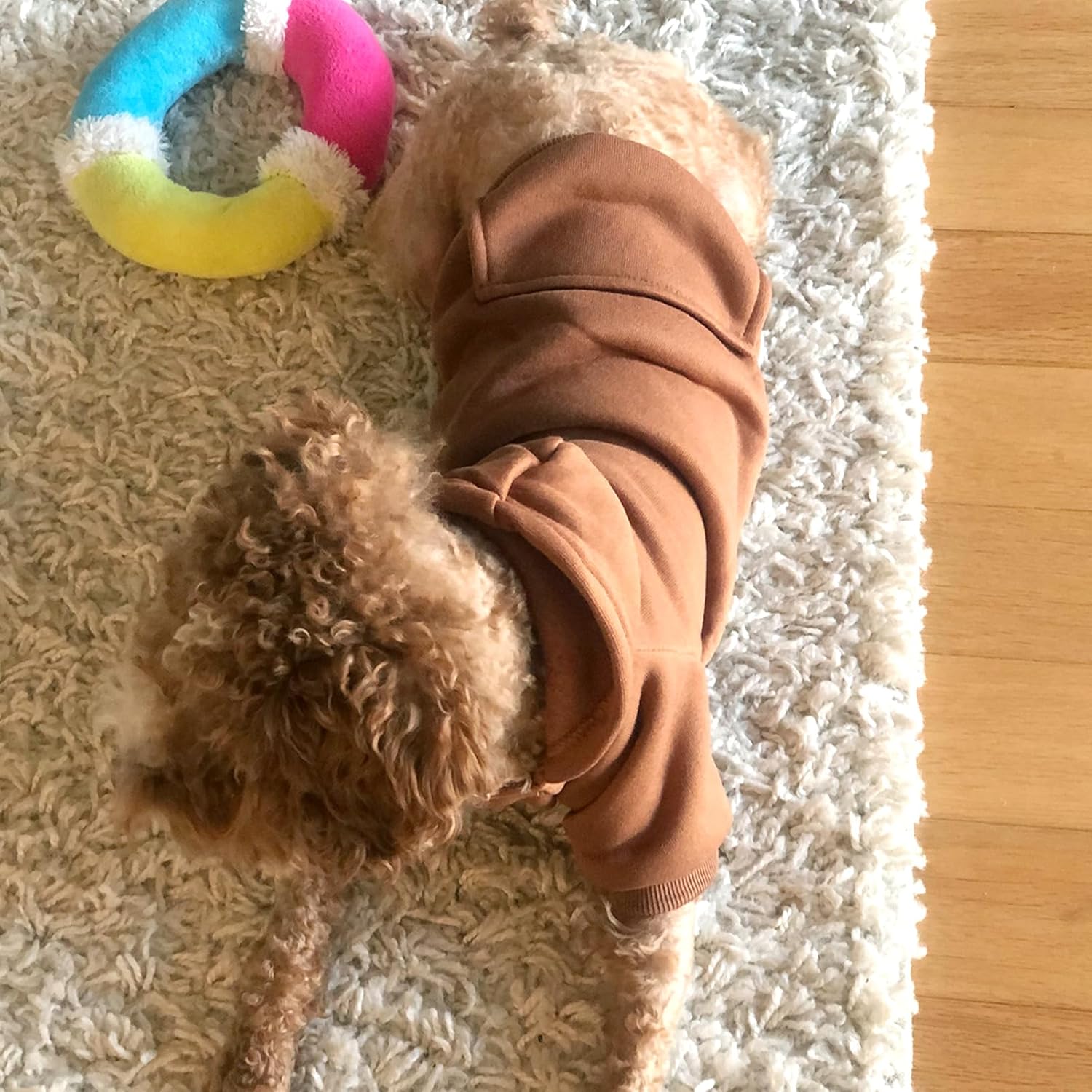 Soft Dog Hoodies for Small Dogs, Fleece Puppy Sweatshirt with Pockets, Warm Winter Cold Weather Coats for Pet Cat