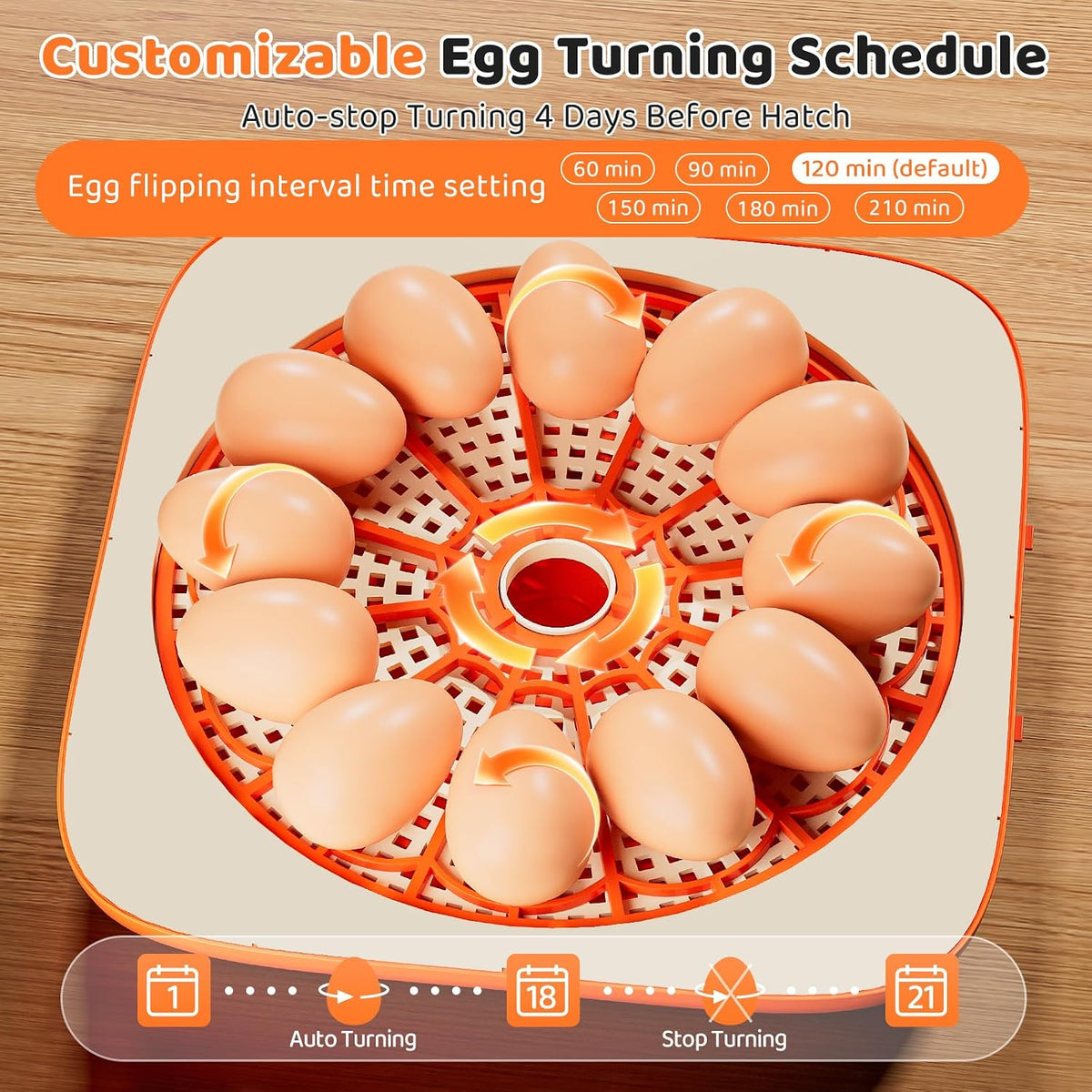 Egg Incubator for Hatching Eggs, 12 Egg Capacity, One-Touch Smart Hatching
