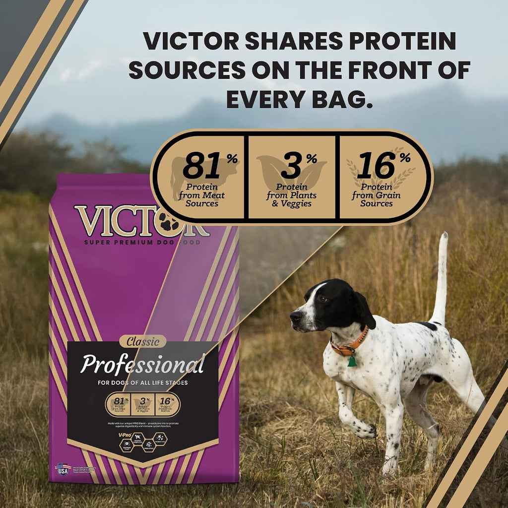Professional Dry Dog Food - Gluten-Free Active Dog Kibble, 30 lb
