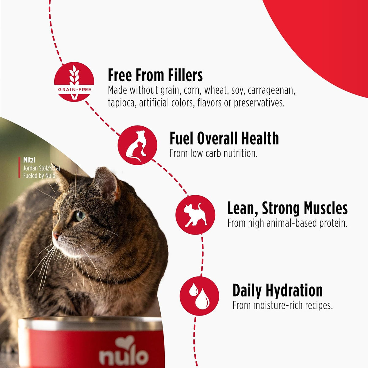 Variety Flavors Pate Wet Canned Cat Food, 5.5 Ounce (Pack of 24)