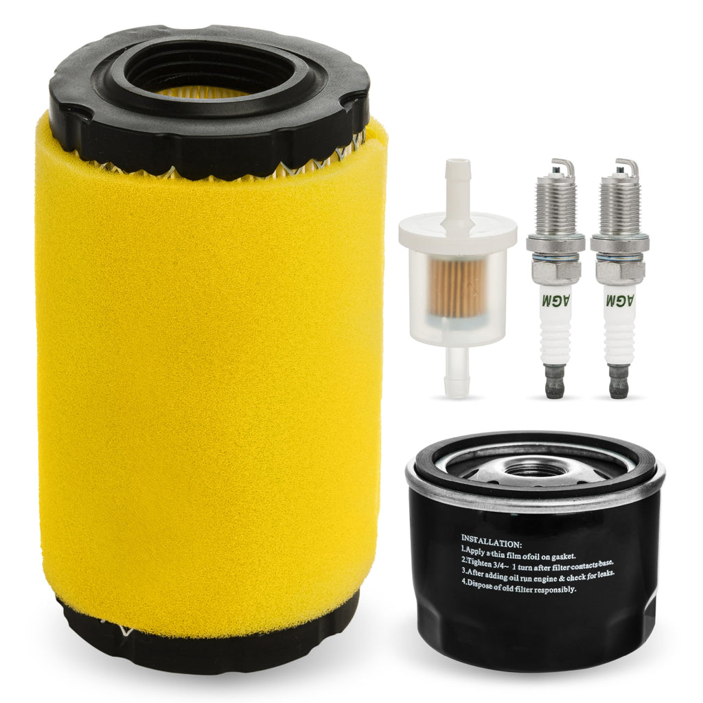 BlueStars 793569 793685 Air Filter 696854 492932 Oil Filter - For Intek