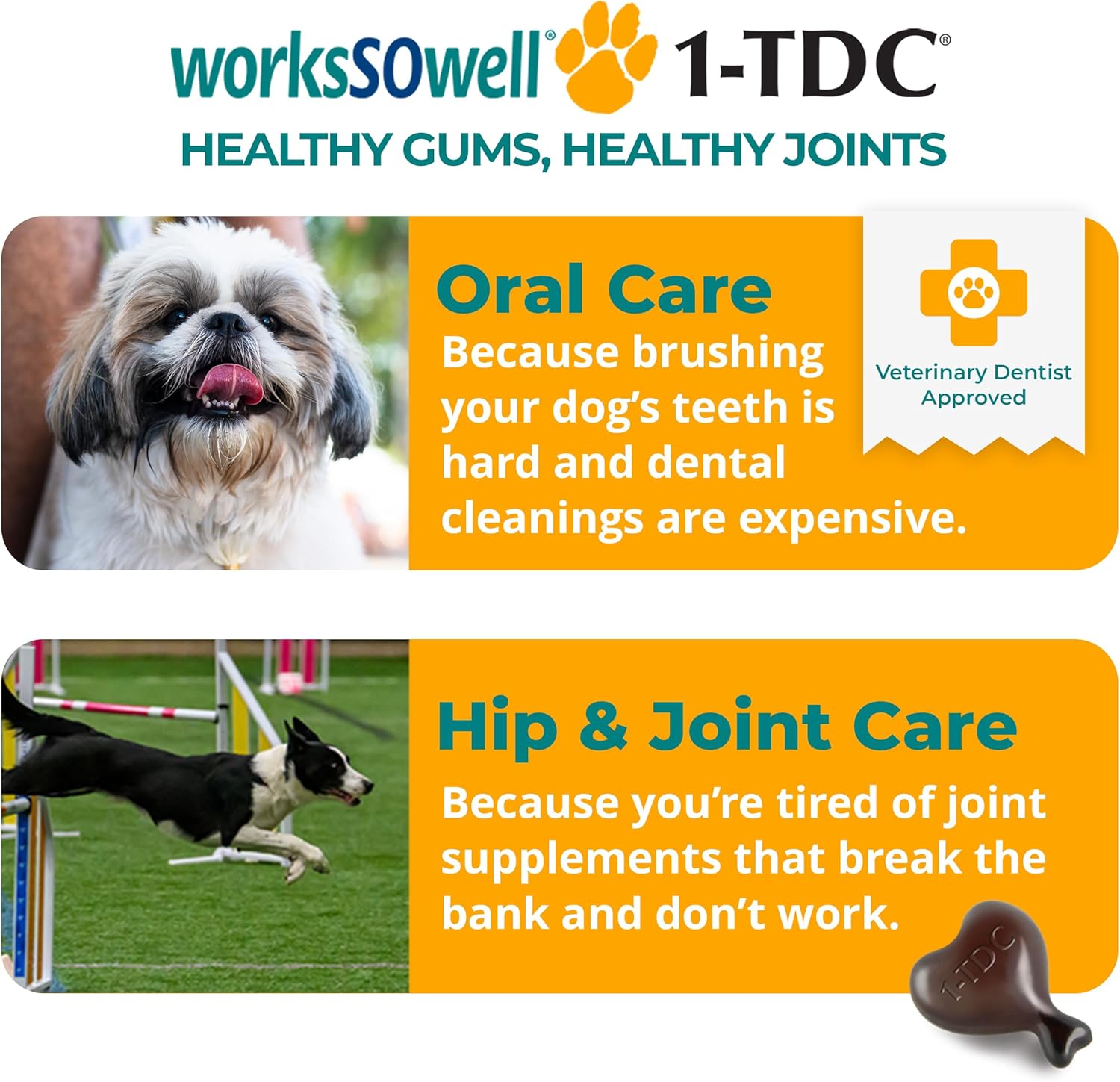 WorksSoWell Dual Action Hip and Joint Supplement for Dogs & Cats - for Large & Small Breed - Great for Oral