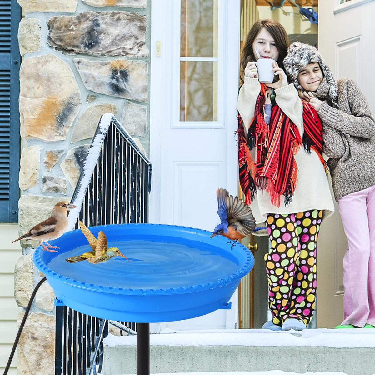 Heated Bird Bath for Outdoors for Winter, 75W Bird Bath Water Heater Bird Bath Deicer,Deep Bowl Thermostatic Control