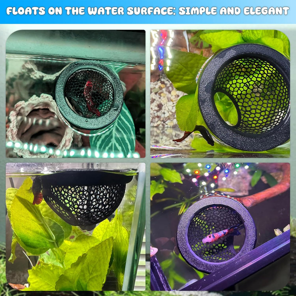 Floating Betta Hide & Shrimp Cave – 3D Printed Aquarium Decor, Multi-Functional Hammock, Feeding Ring & Safe Resting