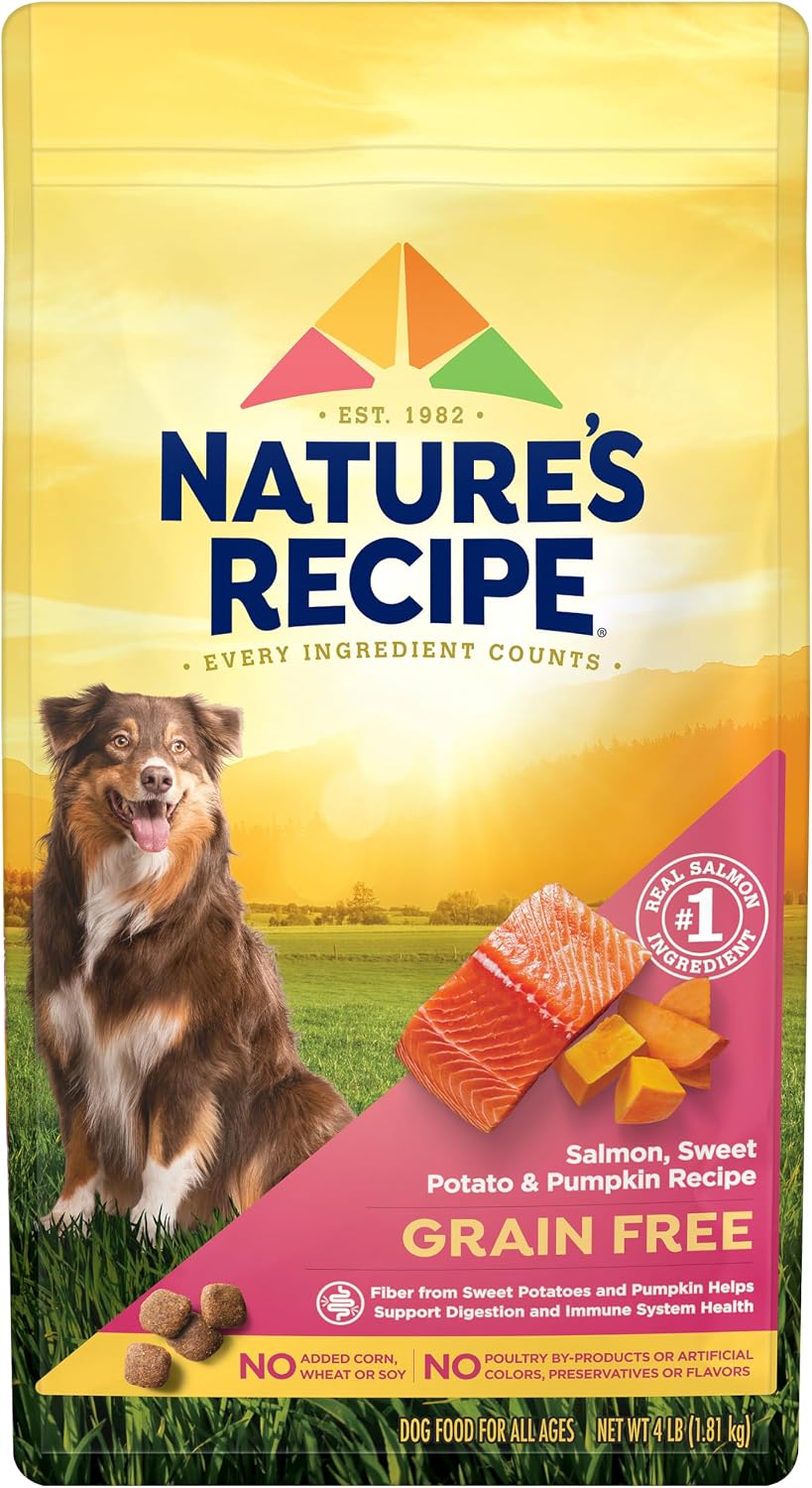 Grain Free Salmon Dry Dog Food, 4 lb. Bag
