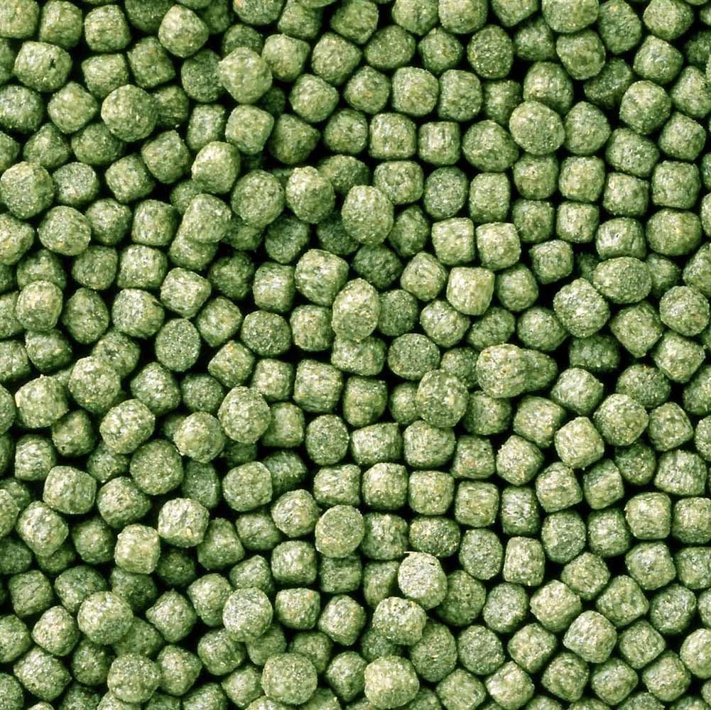 Staple Koi Food 4.4 Lb - Mini Pellet