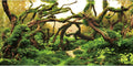 48x24 in Branches Aquarium Backdrop Aquatic Plant Fish Tank Background