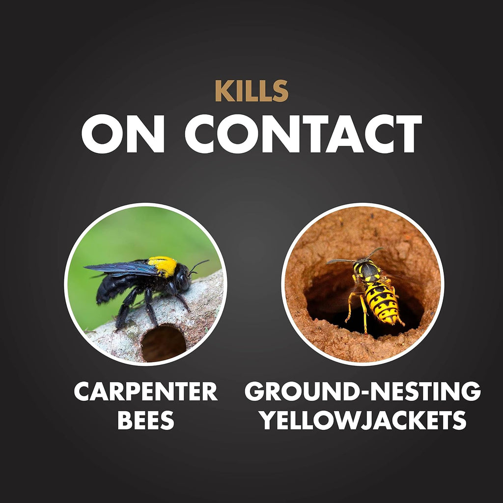 Carpenter Bee & Gound-Nesting Yellowjacket Killer 16 Oz, 12 Pk | Foaming Aerosol Kills on Contact, Expands To Where