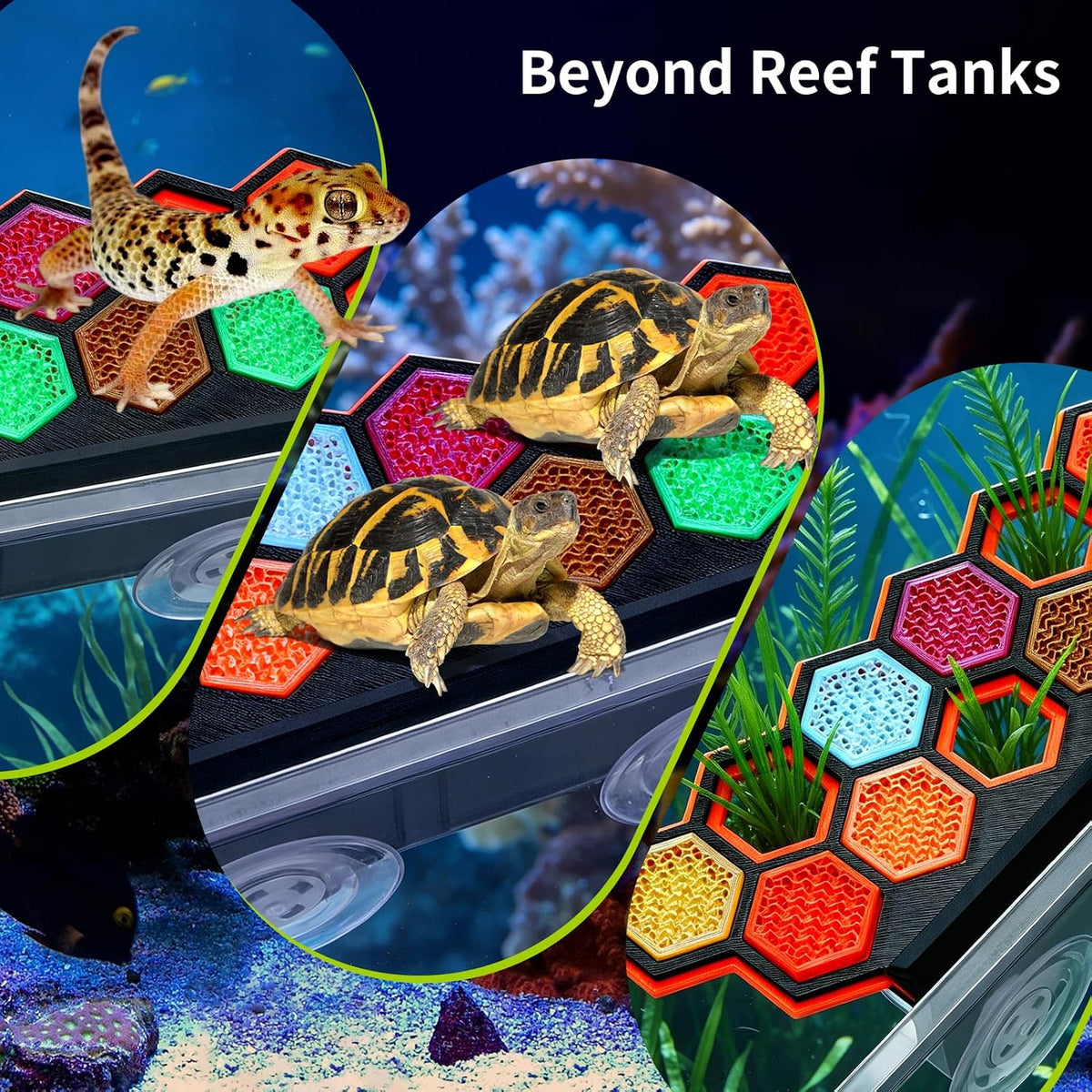 11-Hole Fluorescent Hex Coral Frag Rack with Suction Cups，Aquarium Stand