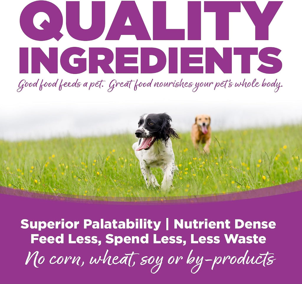 Puppy Food for Large Breeds, Chicken and Rice, 4LB
