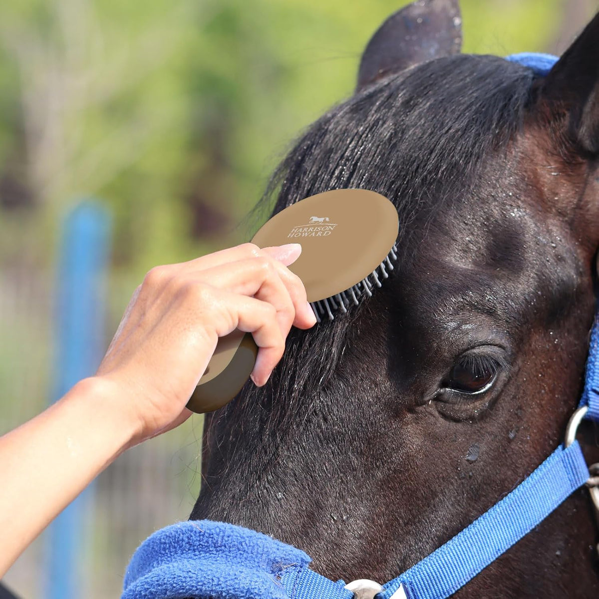 Horse Mane and Tail Brush, Professional Grooming Brush