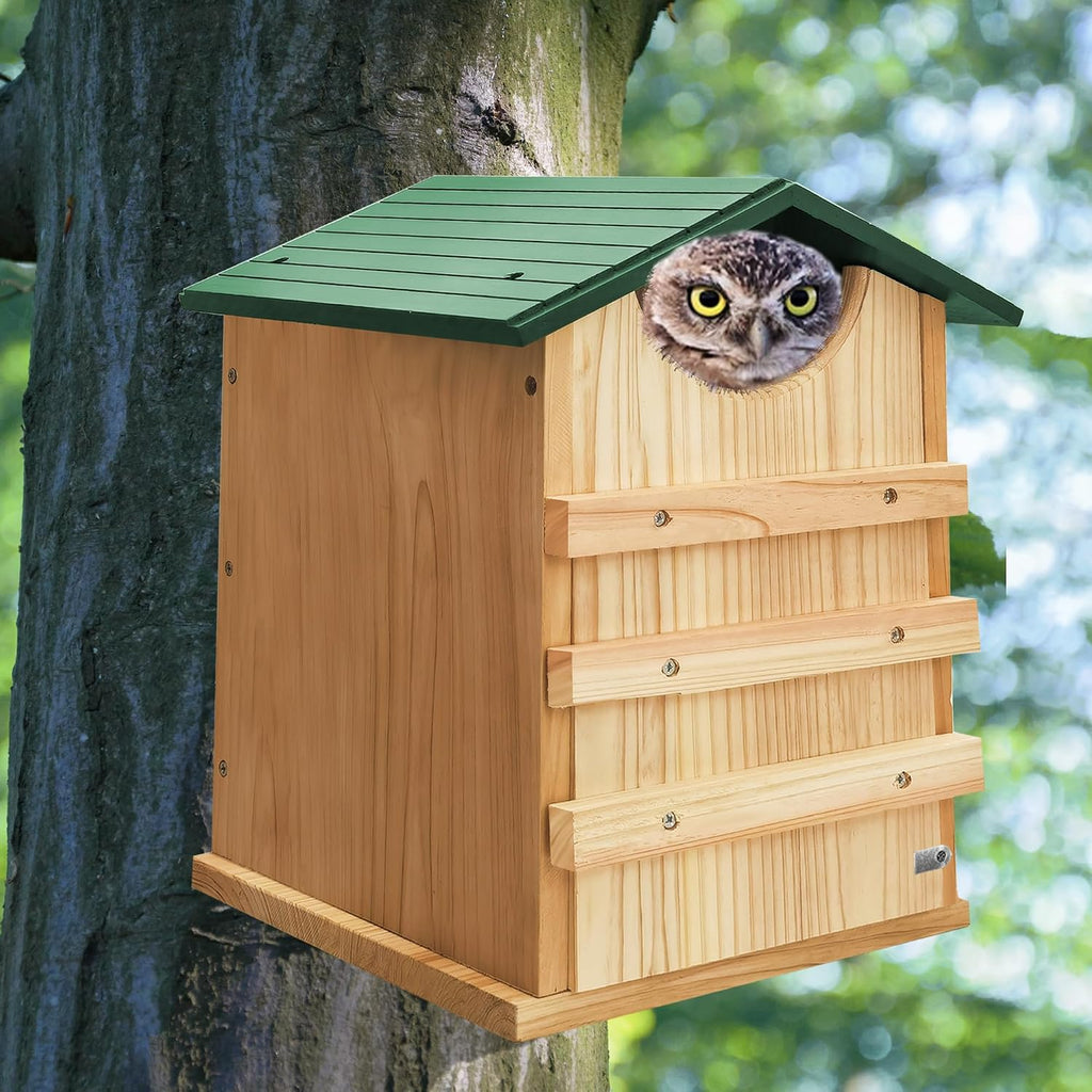 Owl House, 13" x 9" x 9" Owl Nesting Box for Outside with Mounting Screws and Wood Shavings, Cedar Screech Owl House