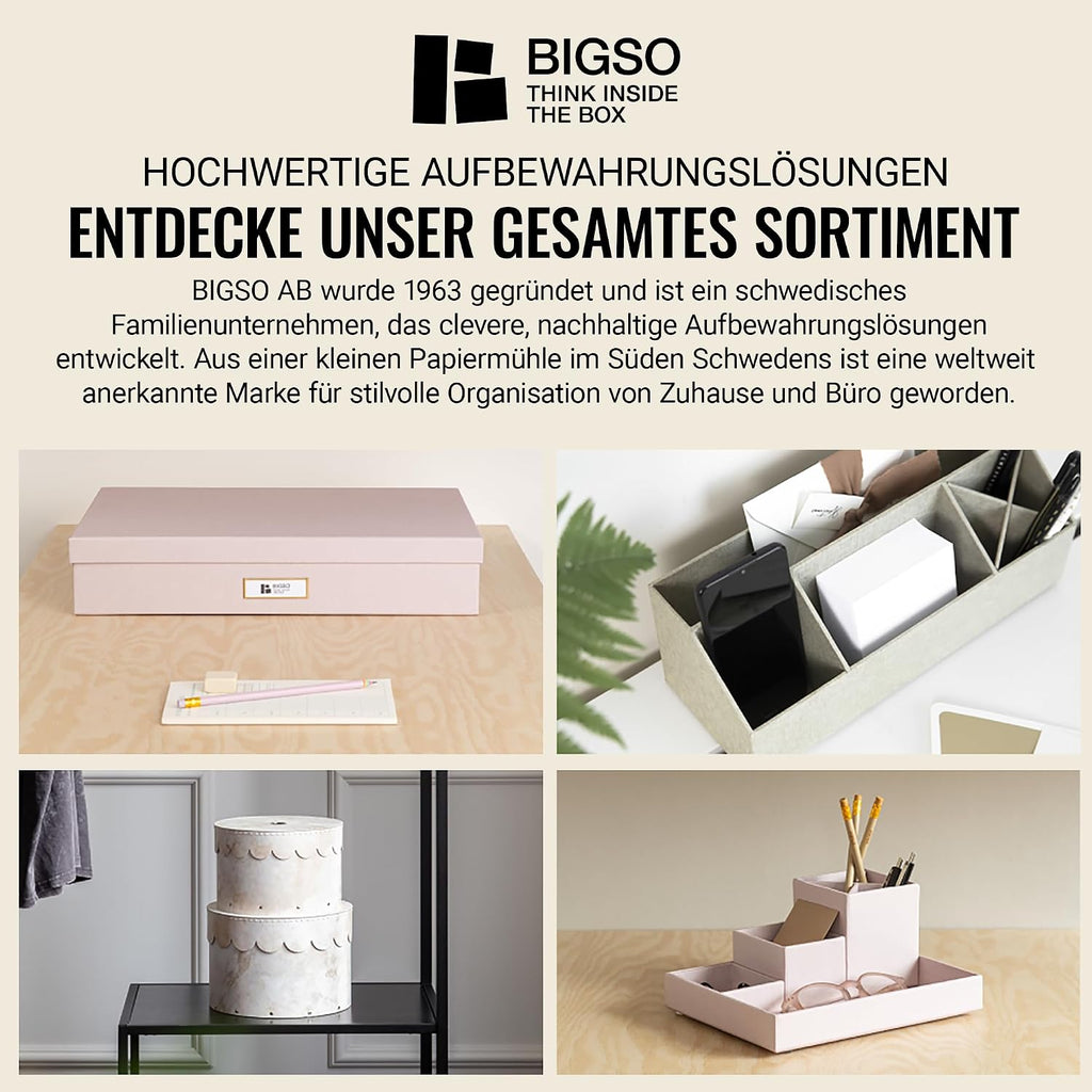 BIGSO OSKAR A4 Document Box - Storage Box with Lid and Handle - Desk Tray for Paper, Brochures & Documents - Shelf