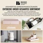 BIGSO OSKAR A4 Document Box - Storage Box with Lid and Handle - Desk Tray for Paper, Brochures & Documents - Shelf