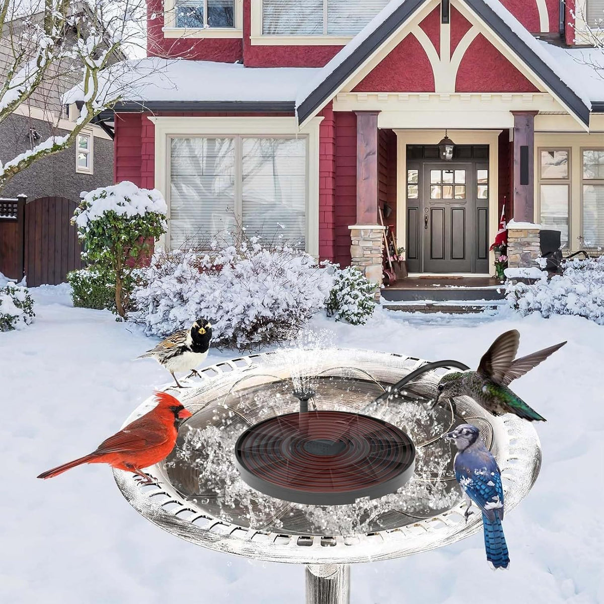 Bird Bath Heater, Utility Birdbath Water Heater Deicer Water Pump with Thermostatically Controlled, De-Icer