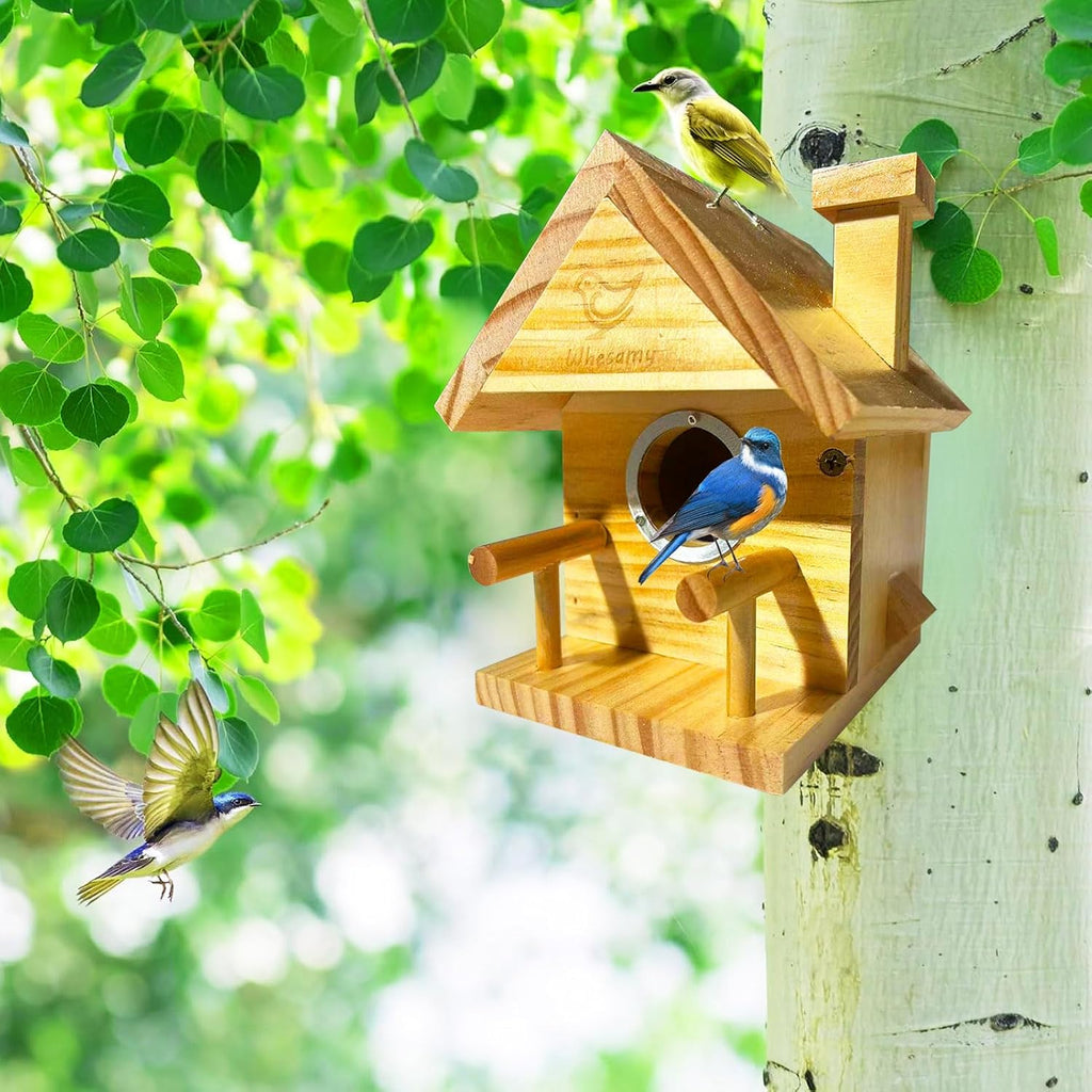 Bird Houses for Outside, Bird House Clearance with Metal Predator Guard for Bluebird Wren Swallow Finch, Cedar Wooden