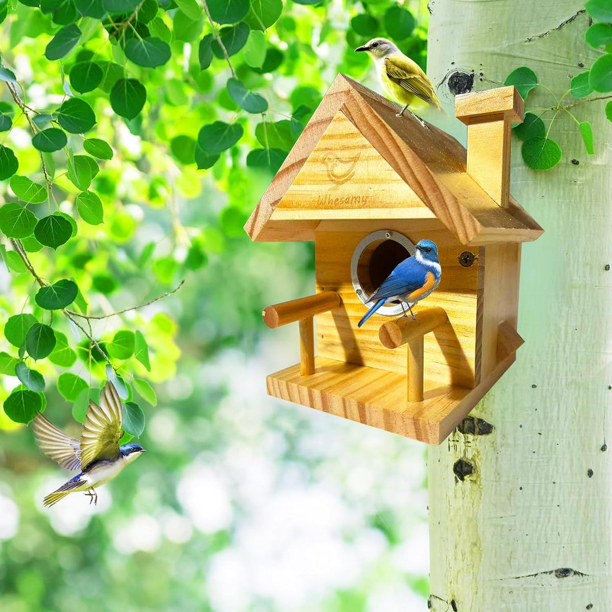 Bird Houses for Outside, Bird House Clearance with Metal Predator Guard for Bluebird Wren Swallow Finch, Cedar Wooden