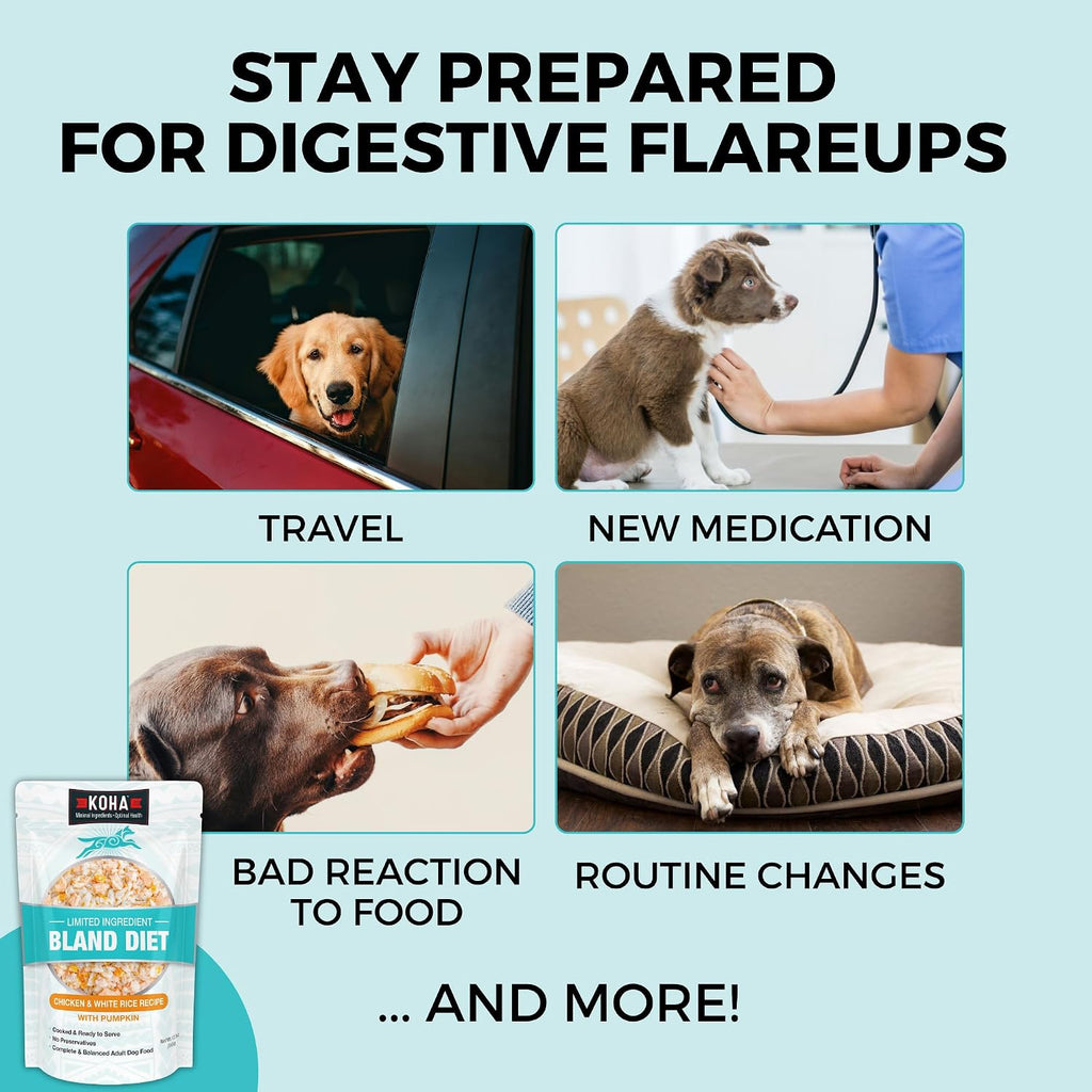 Limited Ingredient Bland Diet for Dogs, Chicken & White Rice Recipe