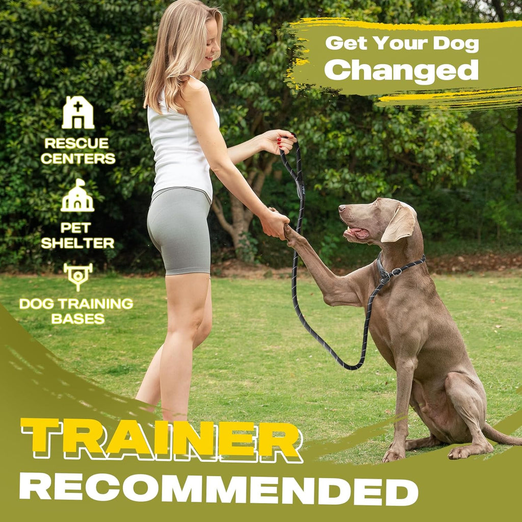 Durable Slip Lead Dog Leash, 6 FT x 1/2" Heavy Duty Dog Loop Leashes, Comfortable Strong Rope Slip Leash for Large