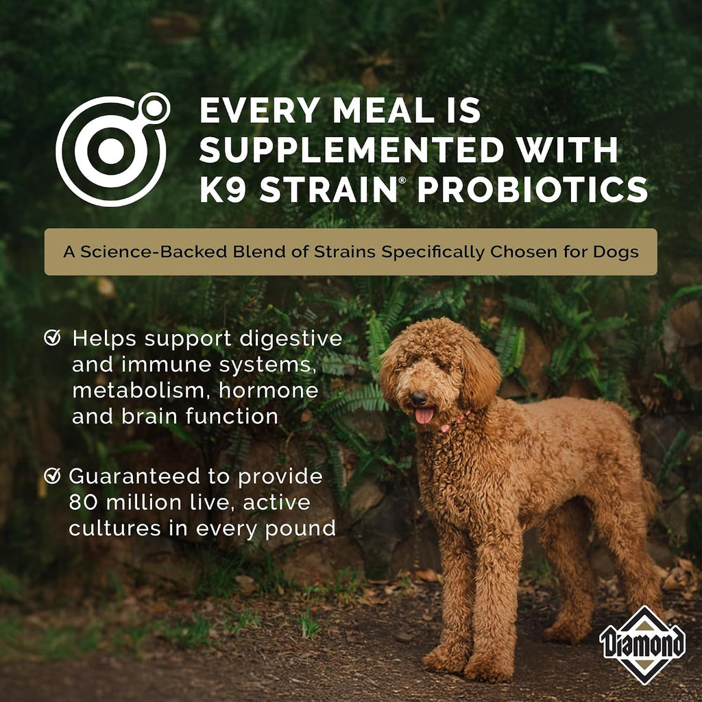 Maintenance Adult Dry Dog Food, Chicken Protein, 40lb