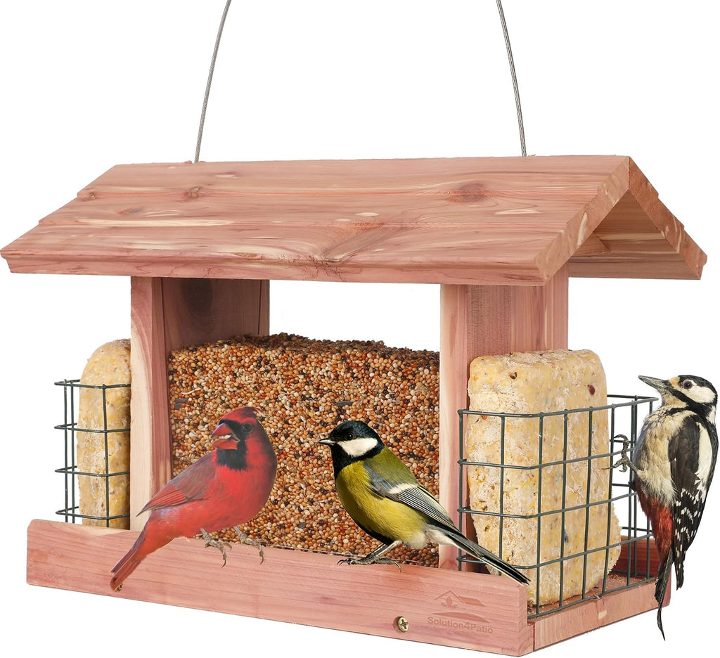 Solution4Patio Squirrel-Proof Cedar Hopper Bird Feeder, Dual Suet Holder