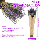 12 Pack Total 2280 Stems Dried Lavender Bundle Bulk