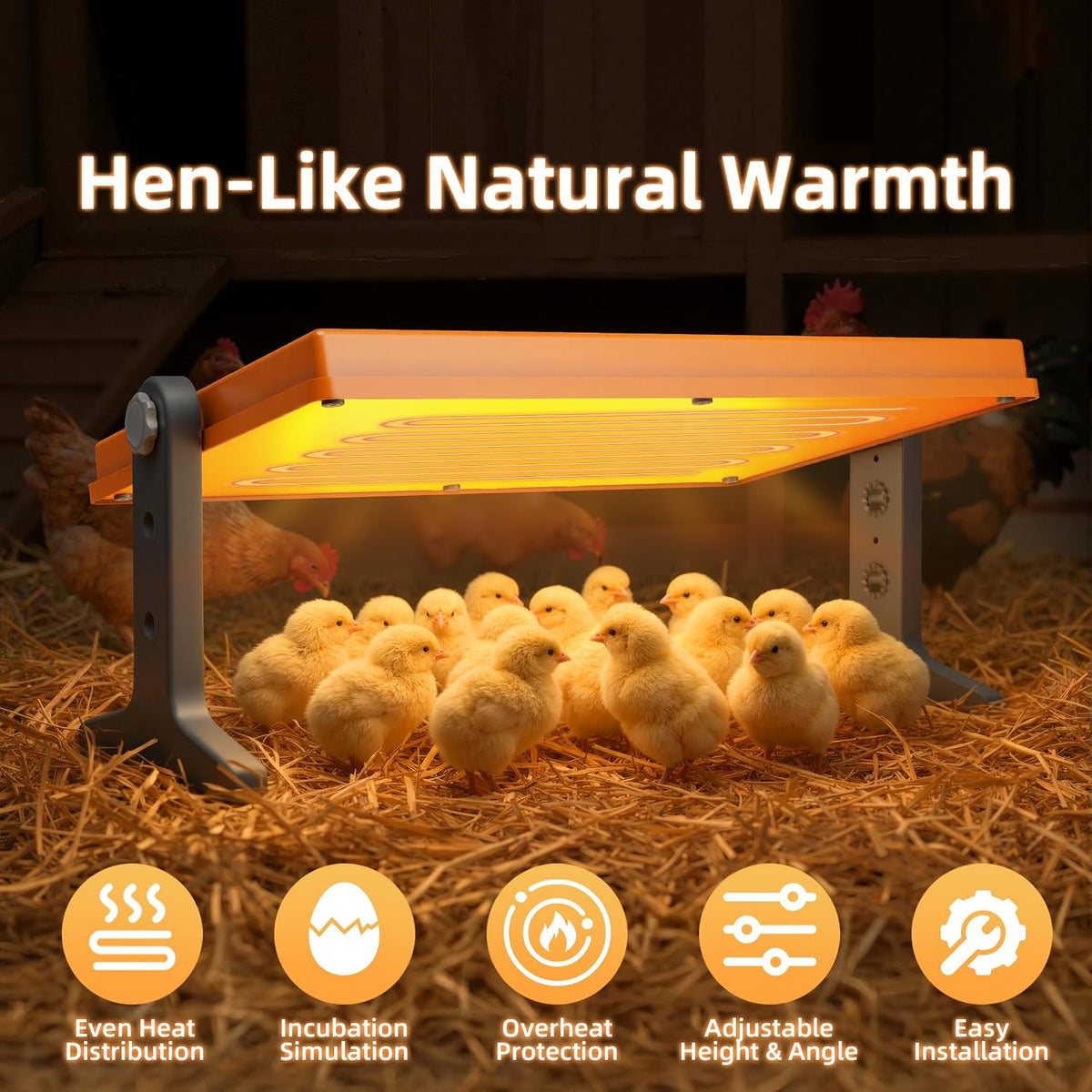 Chick Brooder Heater Plate – 12" x 8" Adjustable Height & Temperature Poultry Warmer for Up to 10 Chicks, Brooder