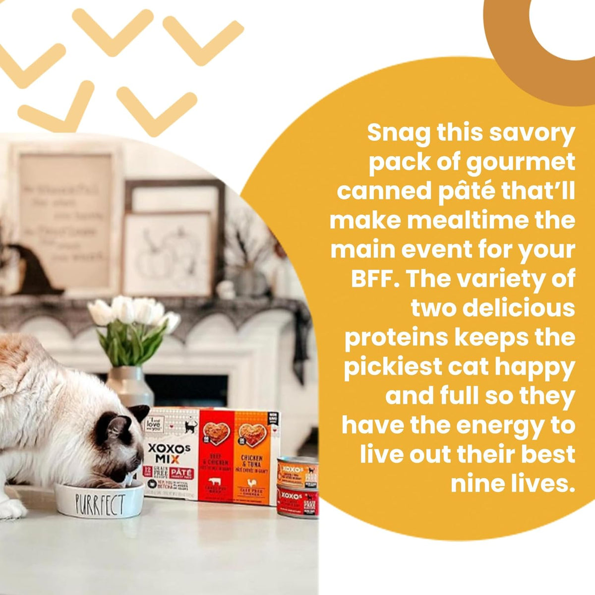 XOXOs Wet Cat Food - Chicken + Beef Pâté Variety Pack - Grain Free, Filler Free, 3oz Pack of 12 Cans