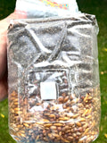 2 lb All-in-One Mushroom Grow Bag – Sterilized Triple Grain (Red Milo, Oats, Rye) with CVG Substrate & Azomite