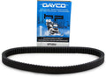DAYCO PRODUCTS SNOWMOBILE BELT, Black
