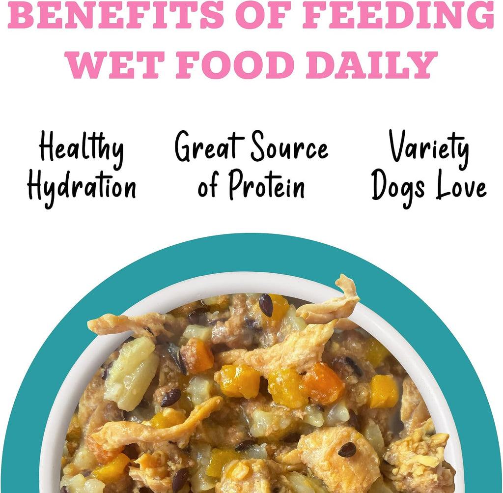 Awesome Belly Wet Dog Food, Chicken, White Rice & Pumpkin with Papaya, 6oz Can (Pack of 8)