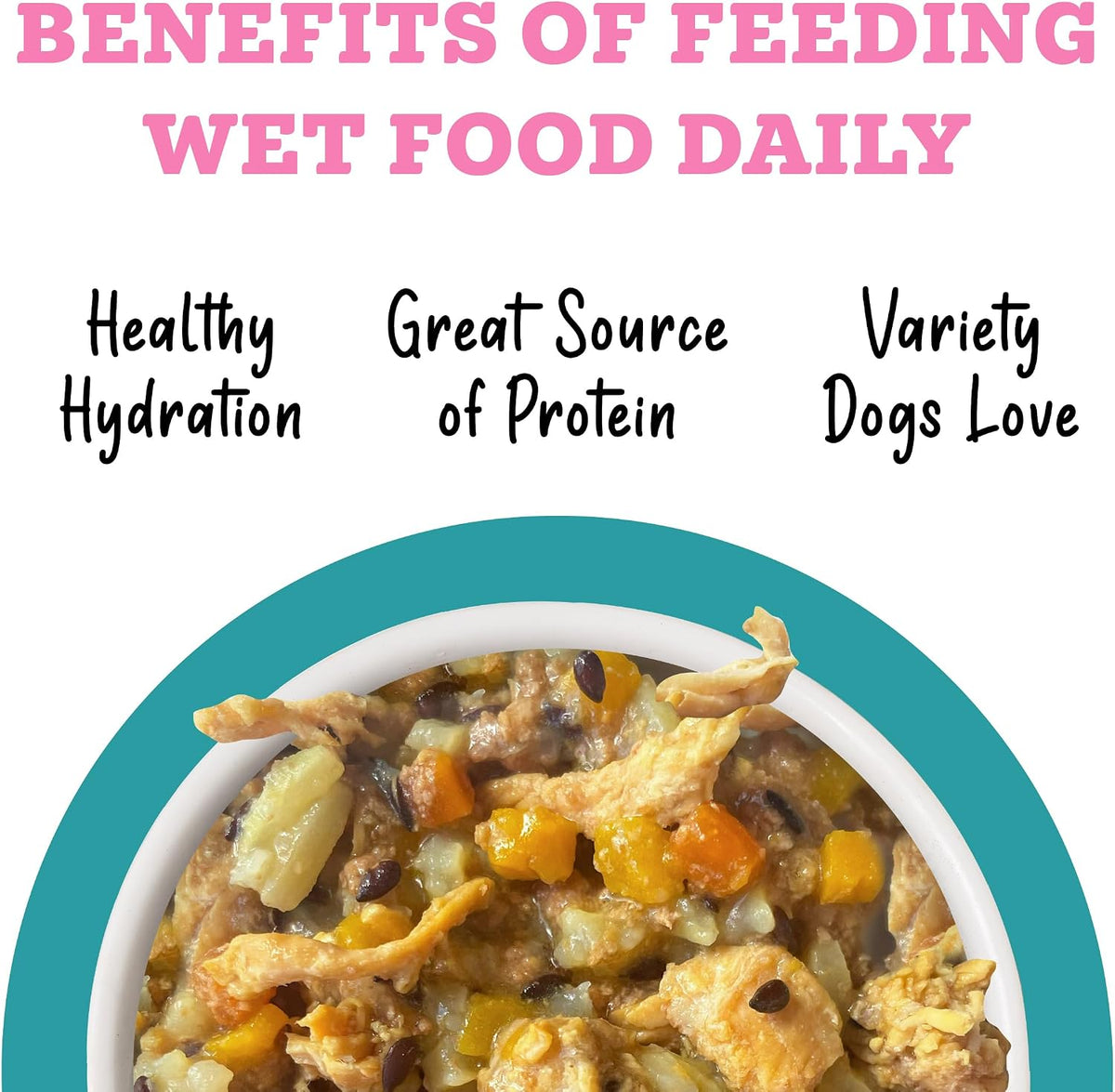 Awesome Belly Wet Dog Food, Chicken, White Rice & Pumpkin with Papaya, 6oz Can (Pack of 8)