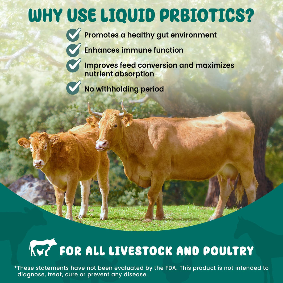 Bio Livestock Probiotic - Digestive Support Liquid - 5 G