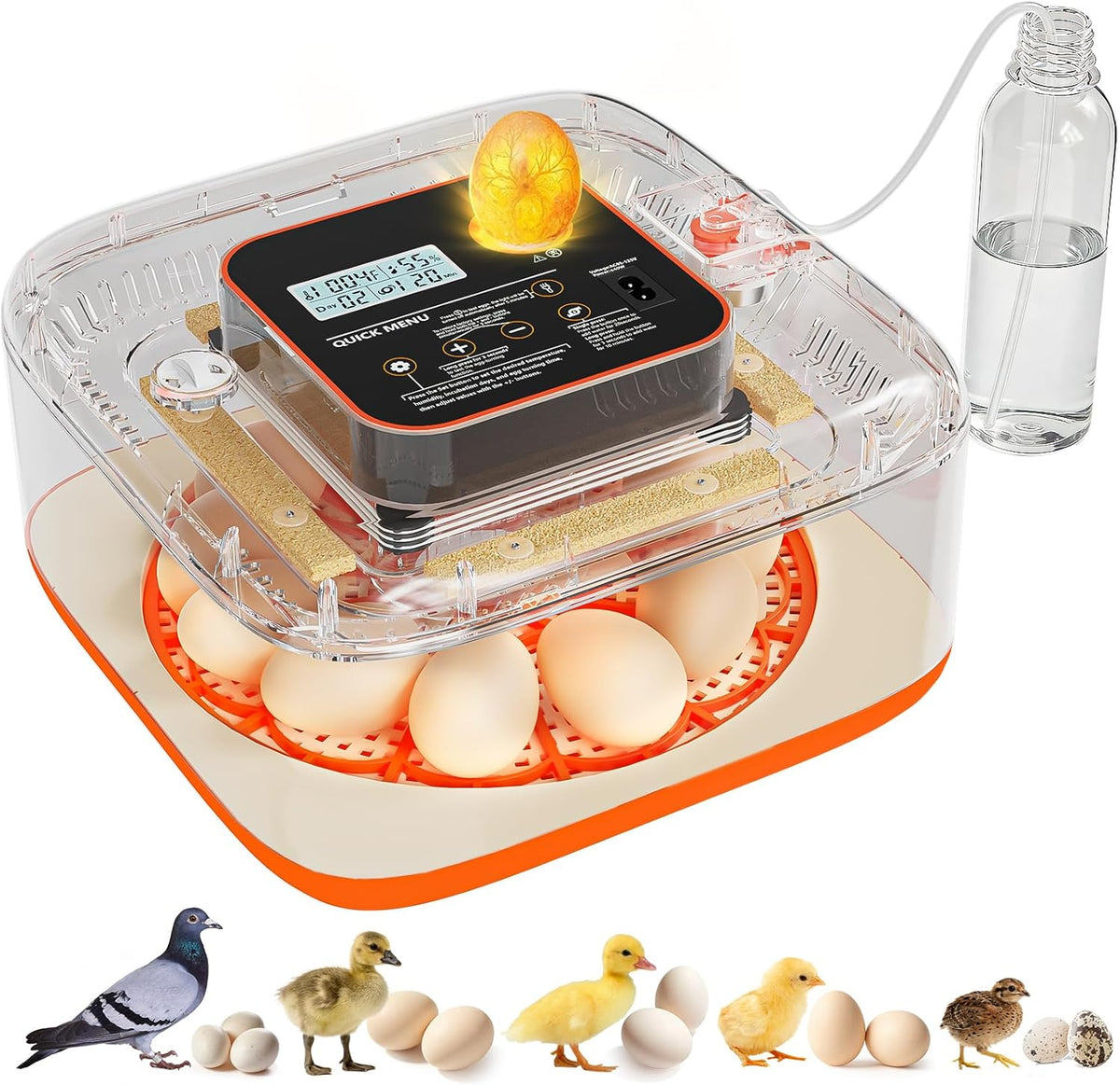 Egg Incubator for Hatching Eggs, 12 Egg Capacity, One-Touch Smart Hatching