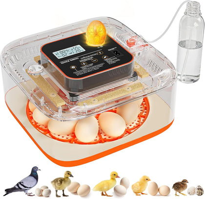 Egg Incubator for Hatching Eggs, 12 Egg Capacity, One-Touch Smart Hatching